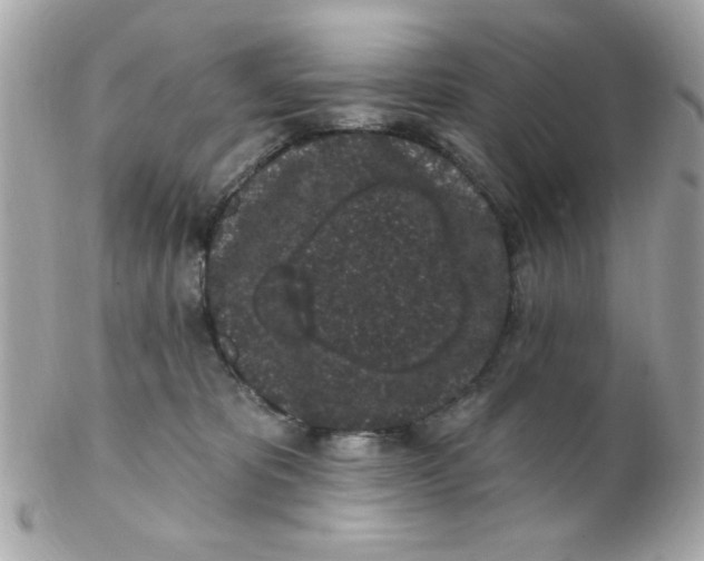X0000102310325200808152047