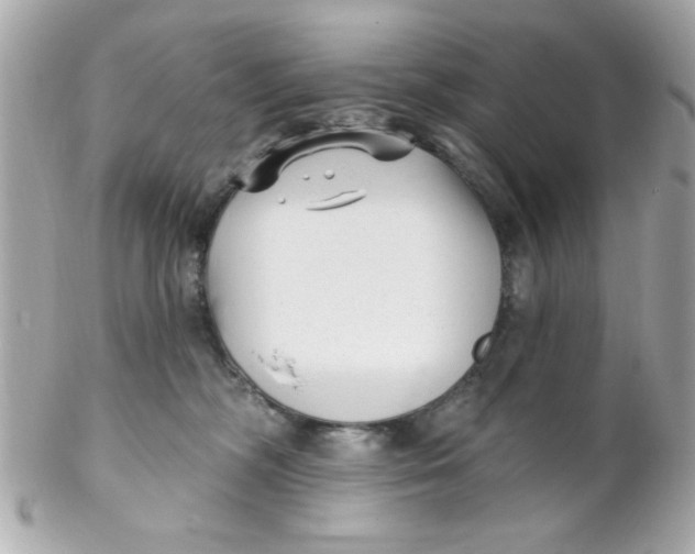 X0000102310326200808152047