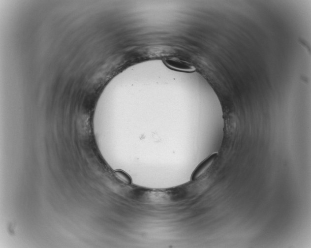 X0000102310327200808152047