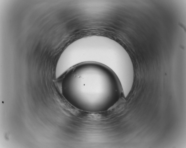 X0000102310328200808152047