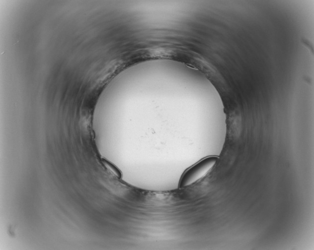 X0000102310329200808152047