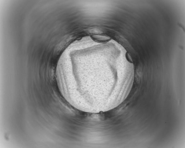 X0000102310330200808152047