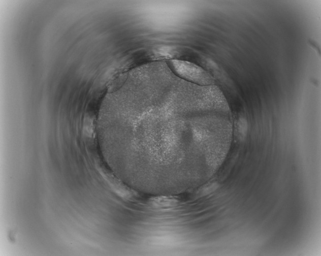 X0000102310331200808152047