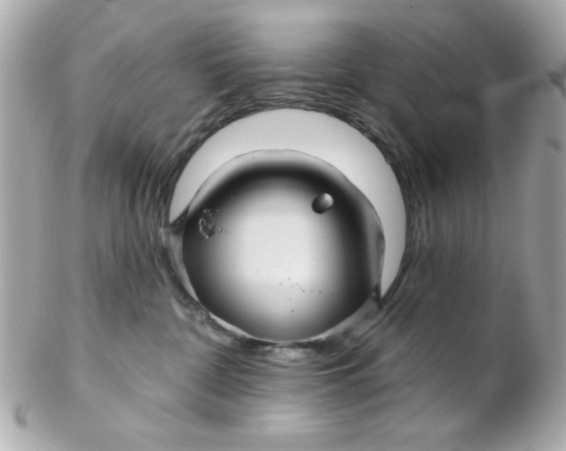 X0000102310332200808152047