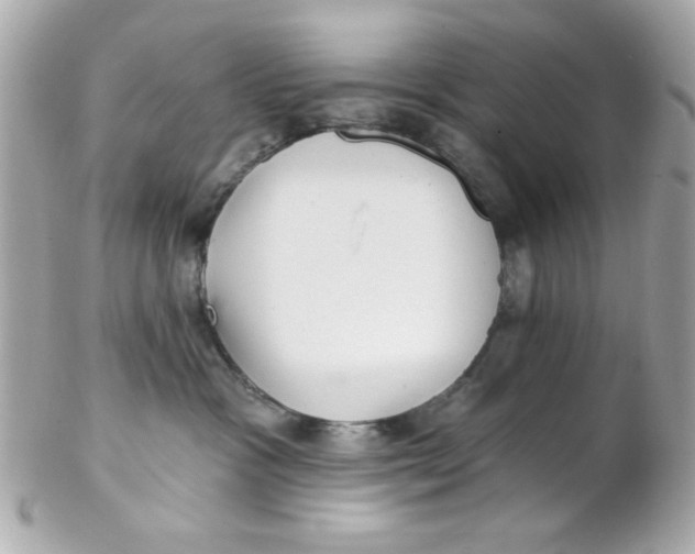 X0000102310333200808152047