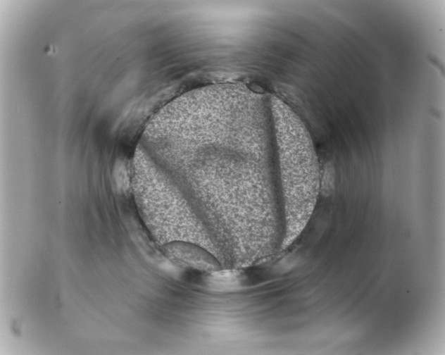 X0000102310335200808152047