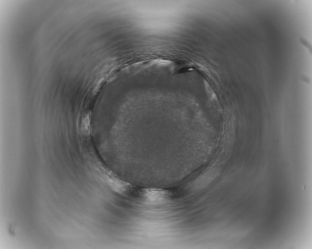 X0000102310336200808152047