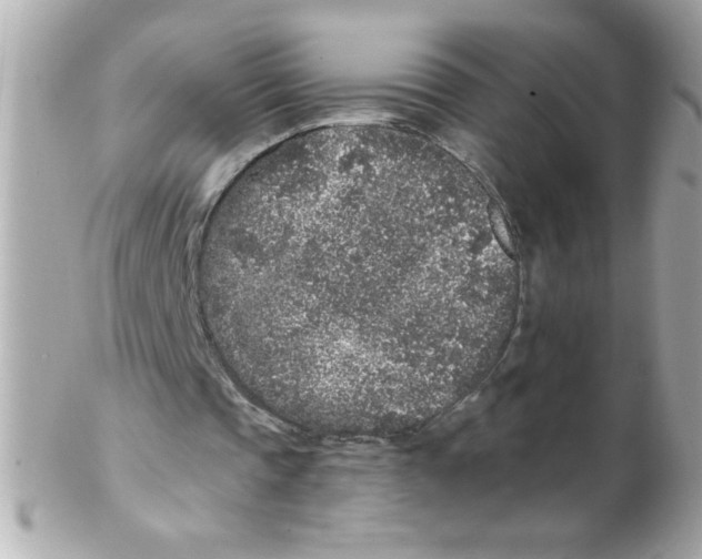 X0000102310337200808152046