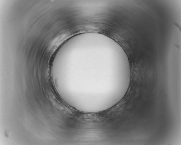 X0000102310338200808152046