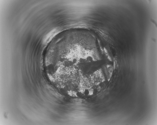 X0000102310339200808152046