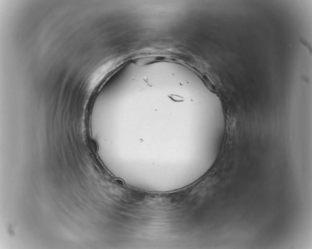 X0000102310340200808152046