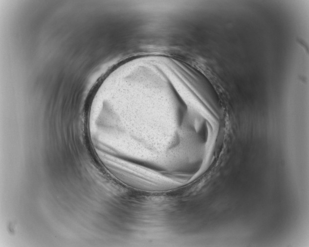 X0000102310342200808152046
