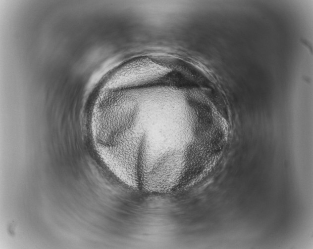 X0000102310343200808152046