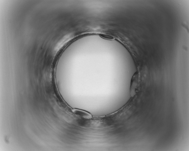 X0000102310344200808152046