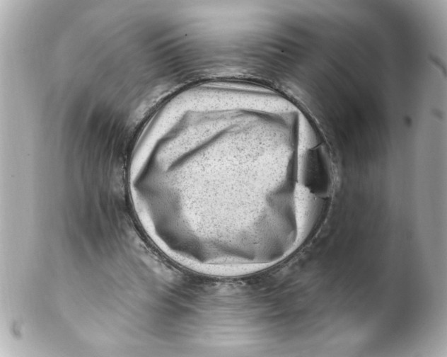 X0000102310345200808152047