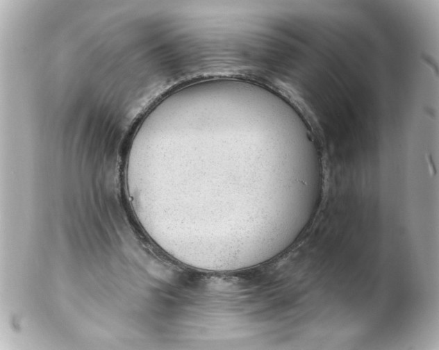 X0000102310346200808152047