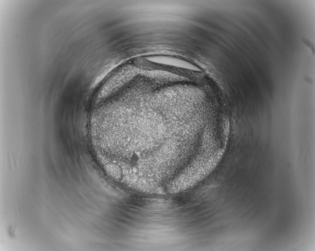 X0000102310347200808152047