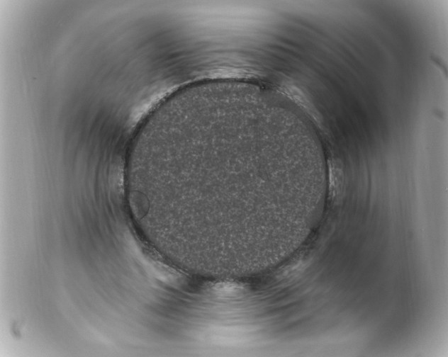 X0000102310348200808152047
