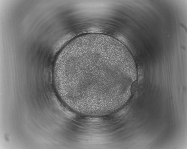 X0000102310349200808152047