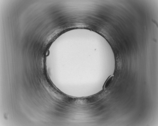 X0000102310350200808152047