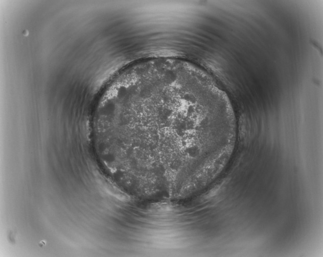 X0000102310351200808152047