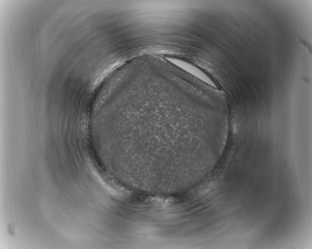 X0000102310352200808152047