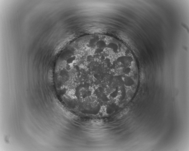 X0000102310353200808152047