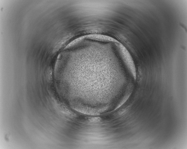 X0000102310355200808152047