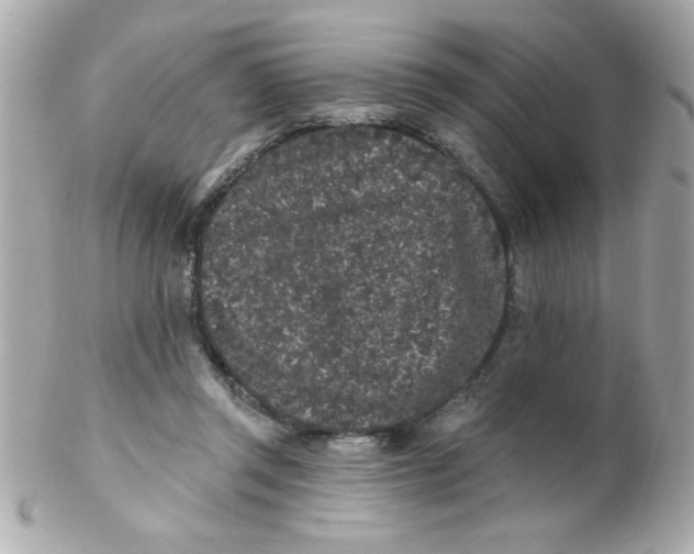 X0000102310357200808152047