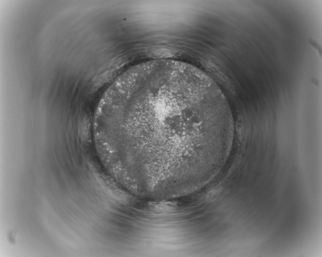 X0000102310359200808152047