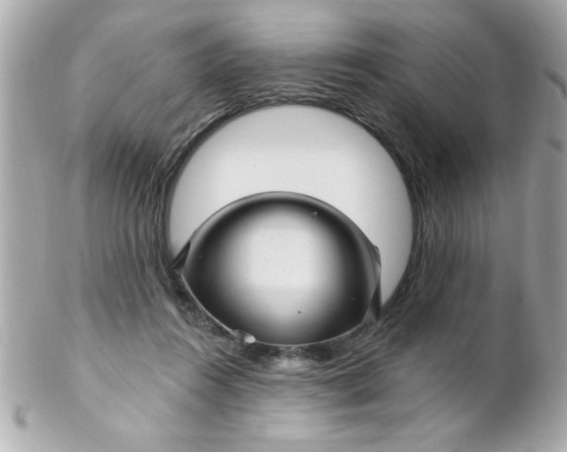 X0000102310360200808152047
