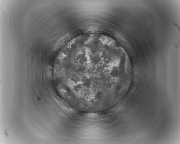 X0000102310361200808152047