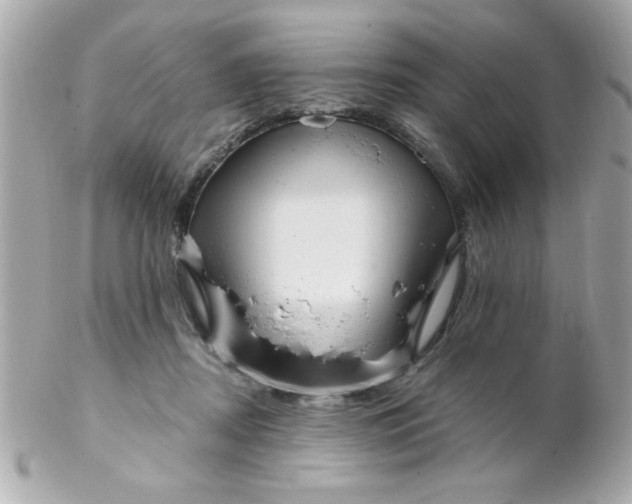 X0000102310362200808152047
