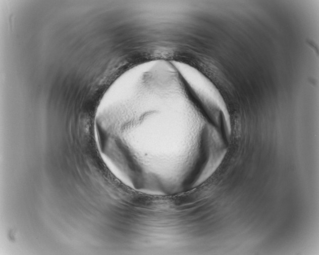 X0000102310363200808152047