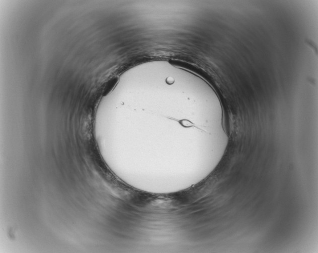 X0000102310364200808152047