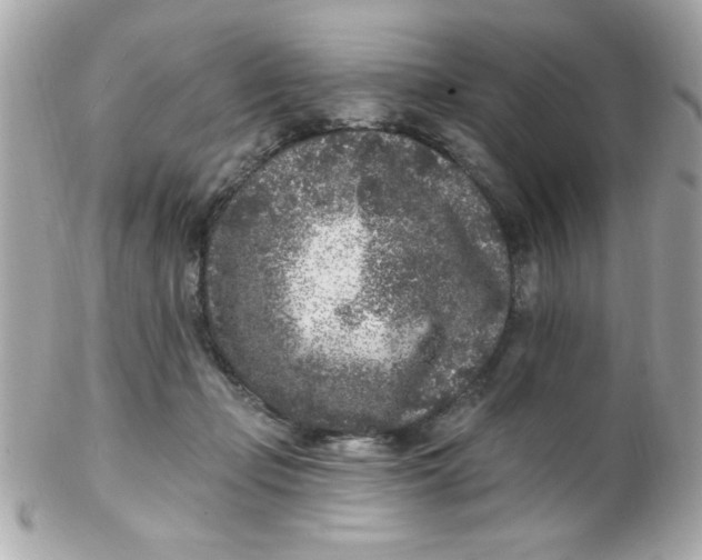 X0000102310365200808152047