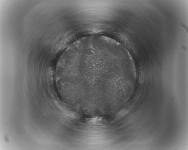 X0000102310366200808152047