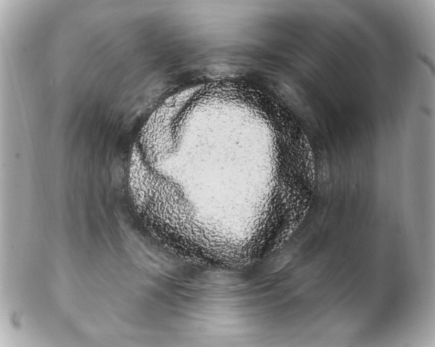 X0000102310367200808152047