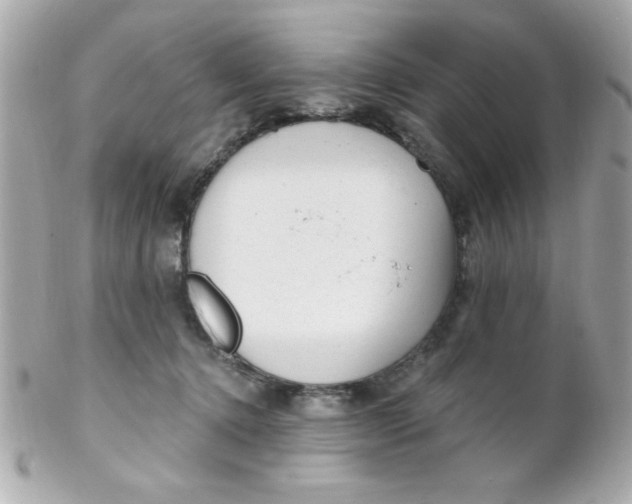 X0000102310368200808152047