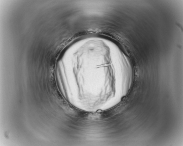 X0000102310369200808152047