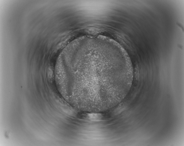 X0000102310371200808152047