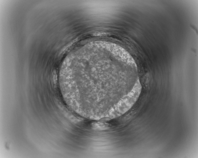 X0000102310372200808152047