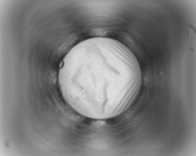 X0000102310374200808152047