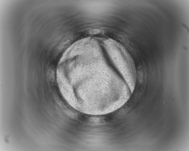 X0000102310375200808152047