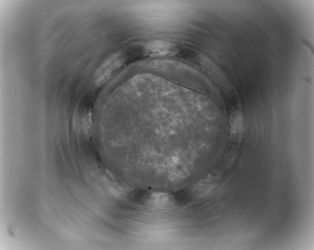 X0000102310376200808152047