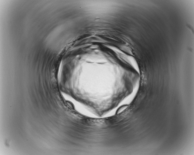 X0000102310377200808152047