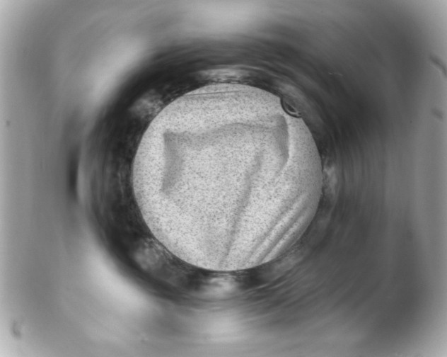 X0000102310381200808152047