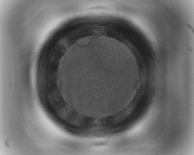 X0000102310383200808152047