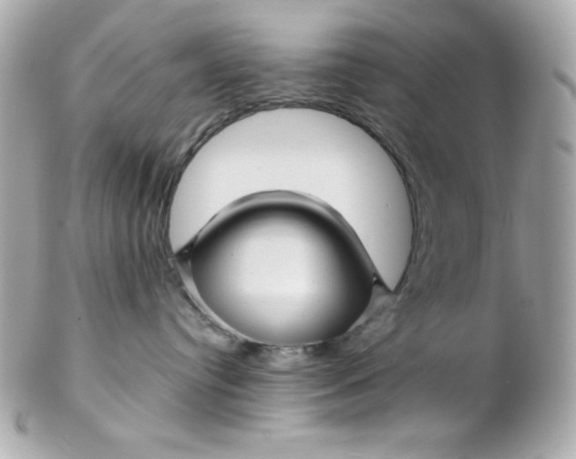 X0000102310384200808152047