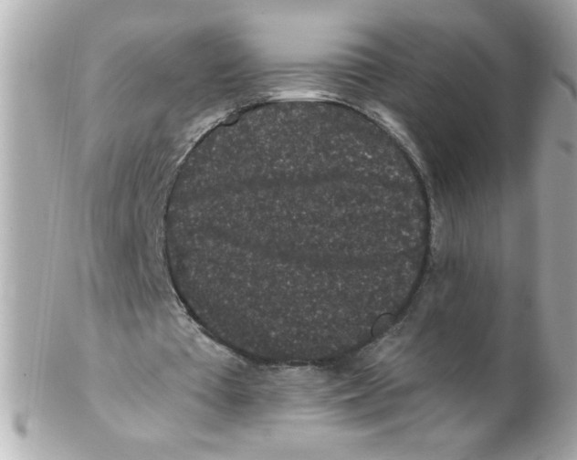 X0000102310385200808152046